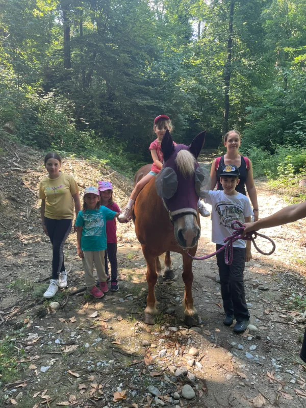 Un cavallo per amico
