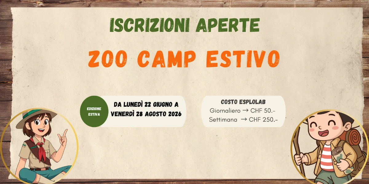 Zoo Camp Estivo