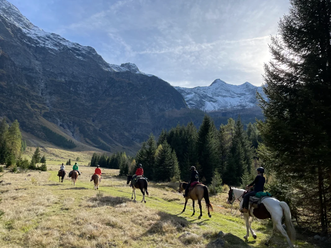 Quattro giorni a cavallo con la monta western