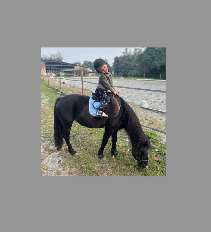 Cavalli e pony: un mondo da scoprire