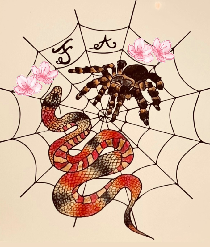 Ragni.serpenti