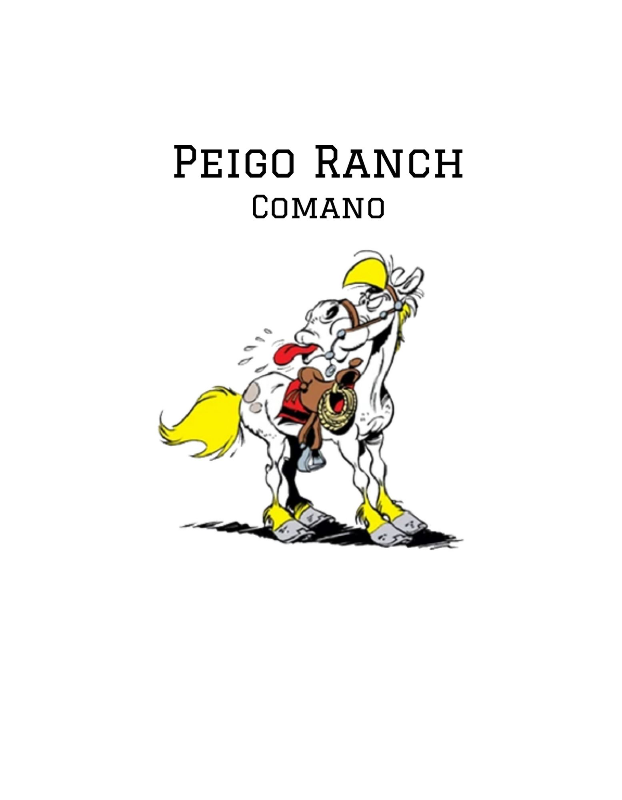 Logo di Peigo Ranch
