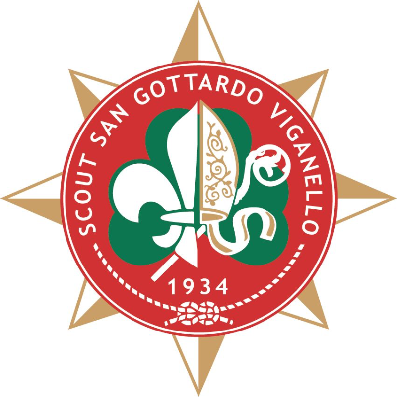 Scout Viganello